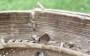 Bamboo and Rattan Gathering Basket